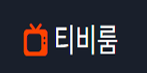티비룸