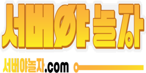 서버야놀자
